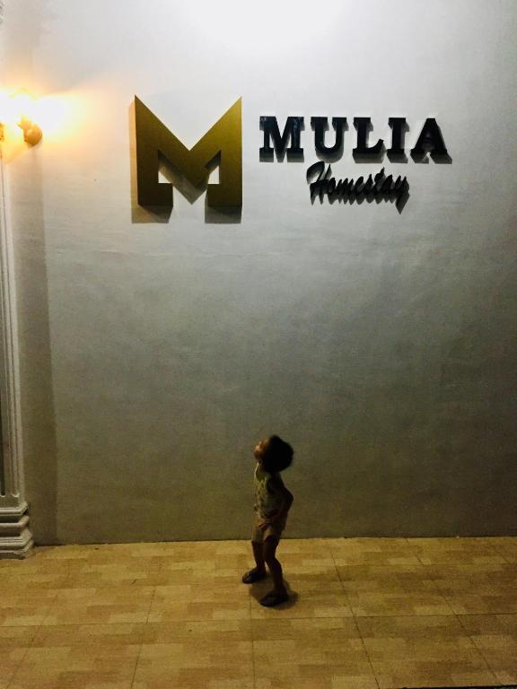 Hosté ubytování Mulia Homestay