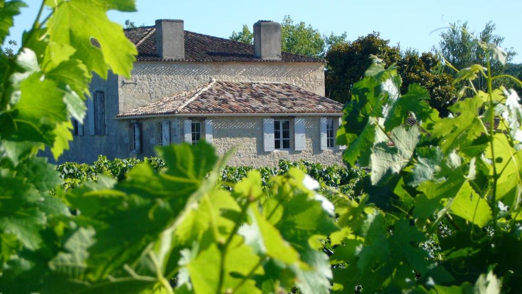 Maison Le Sèpe - Vignoble Bio et Maison d'hôtes - King Room With Garden View