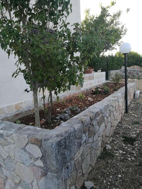 A garden outside Casacampagna San Gabriele