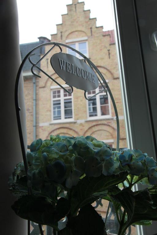 Fotografie z fotogalerie ubytování Temps de Pose v destinaci Ieper