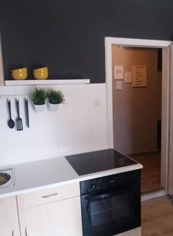 Kuchyň nebo kuchyňský kout v ubytování Apartments Danijela