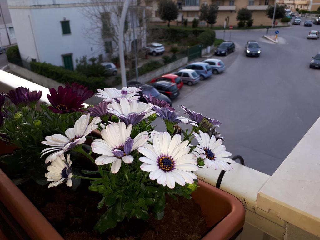 Rizzi Marianna B&B - 7