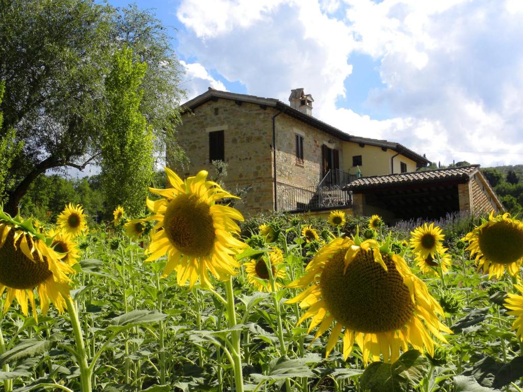 ベヴァーニャにあるAppartamenti Verde Collina Umbraの建物前のひまわり畑