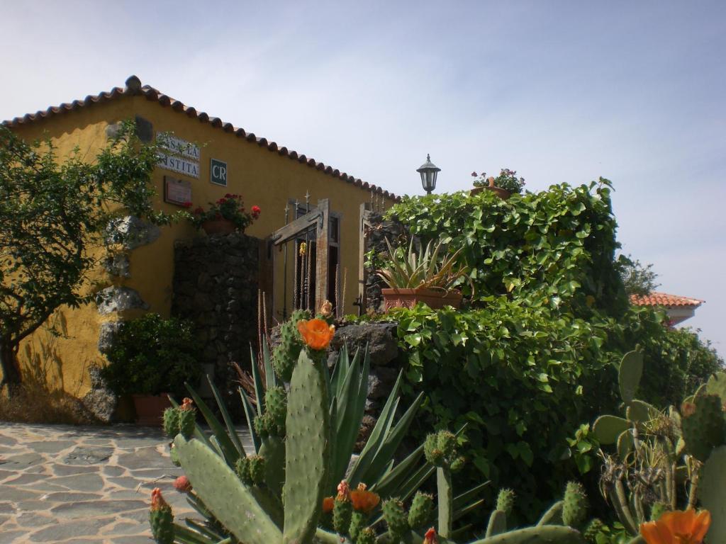 un edificio con plantas y flores delante de él en Casa la Vistita, en Guía de Isora