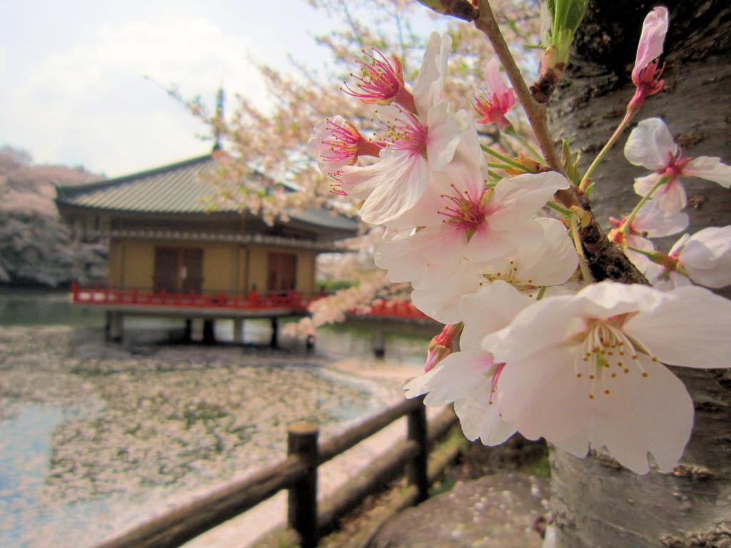 Fotografie z fotogalerie ubytování Ryokan Taishoro v destinaci Sakurai