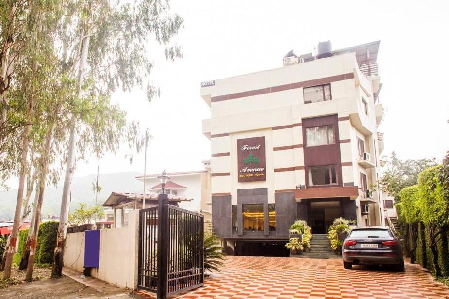 Forest Avenue Dehradun: A Serene Escape in Nature's Lap Forest Avenue Dehradun: A Serene Escape in Nature's Lap