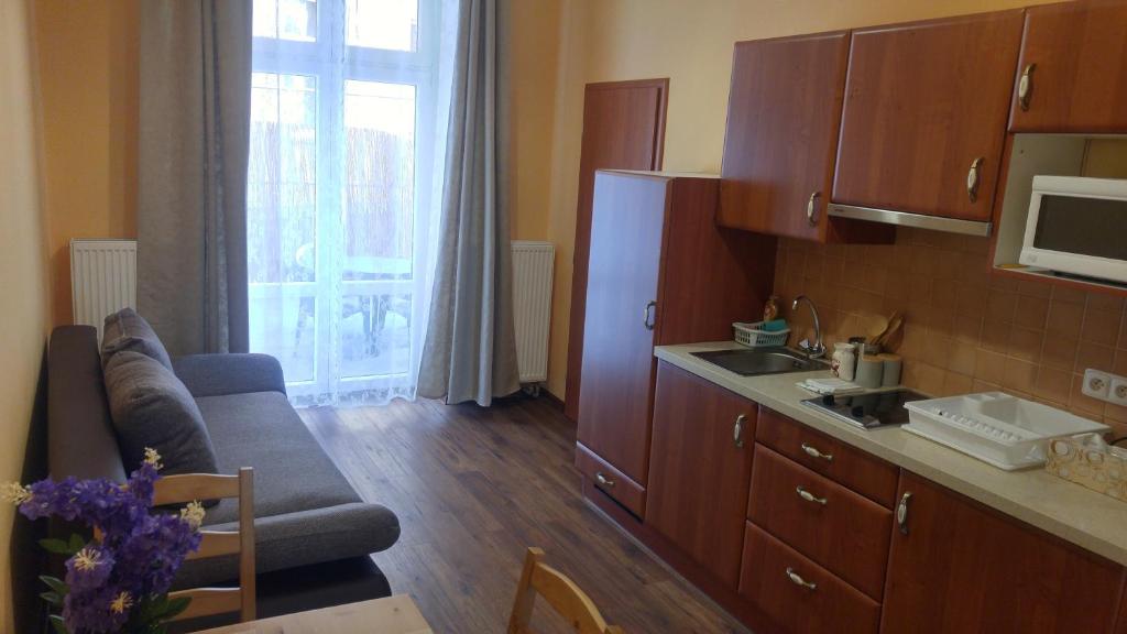 Kuchyň nebo kuchyňský kout v ubytování Apartman v centru Karlovych Varu