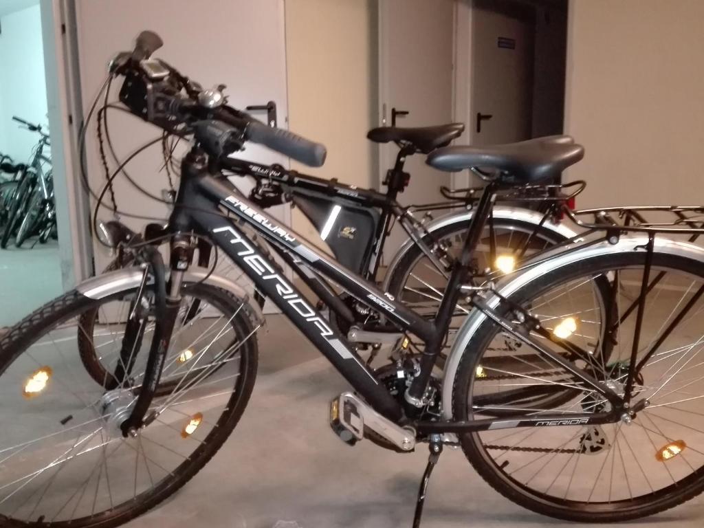 Jazda na bicykli v okolí ubytovania Apartament w Willi Woda w Juracie