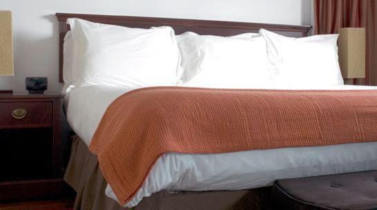 Postel nebo postele na pokoji v ubytování The Fritz Hotel