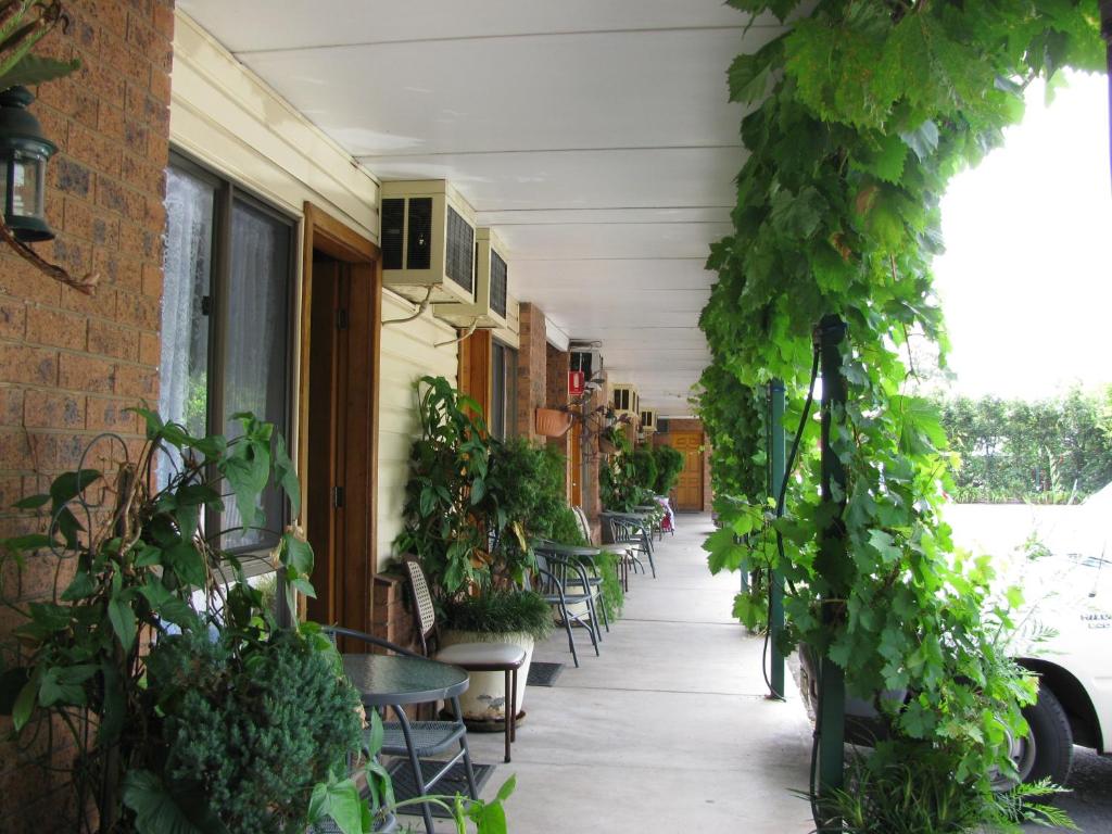 patio ze stołami, krzesłami i roślinami w obiekcie The Wayfarer Motel w mieście Muswellbrook