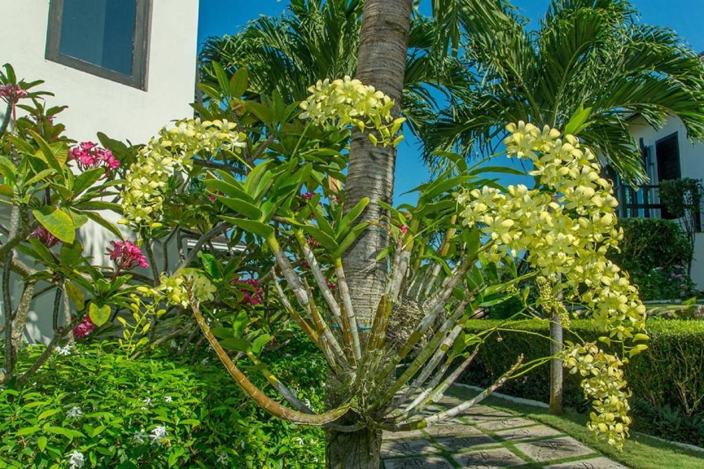 Zahrada ubytování Luxury Villa sleeps 6, Beach Access, Montego Bay