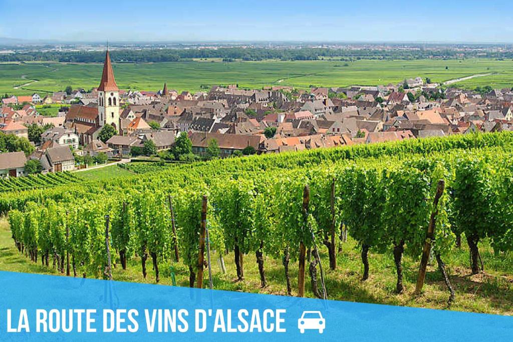 2 Charmants logements * CHARMANT GITE COLMAR * – photo 12