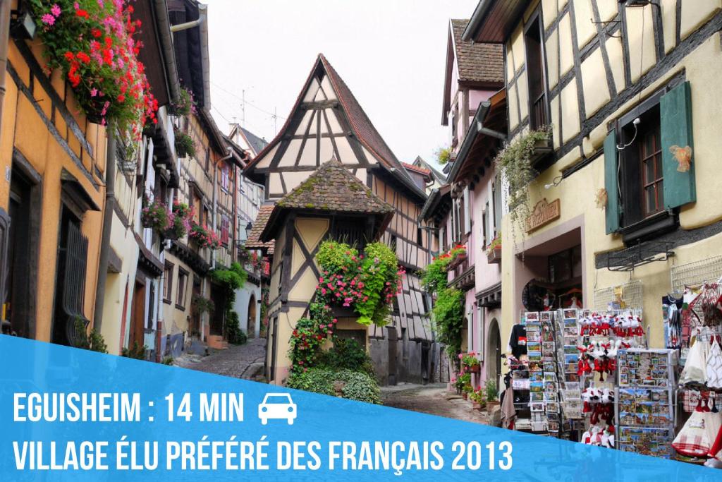 2 Charmants logements * CHARMANT GITE COLMAR * – photo 17