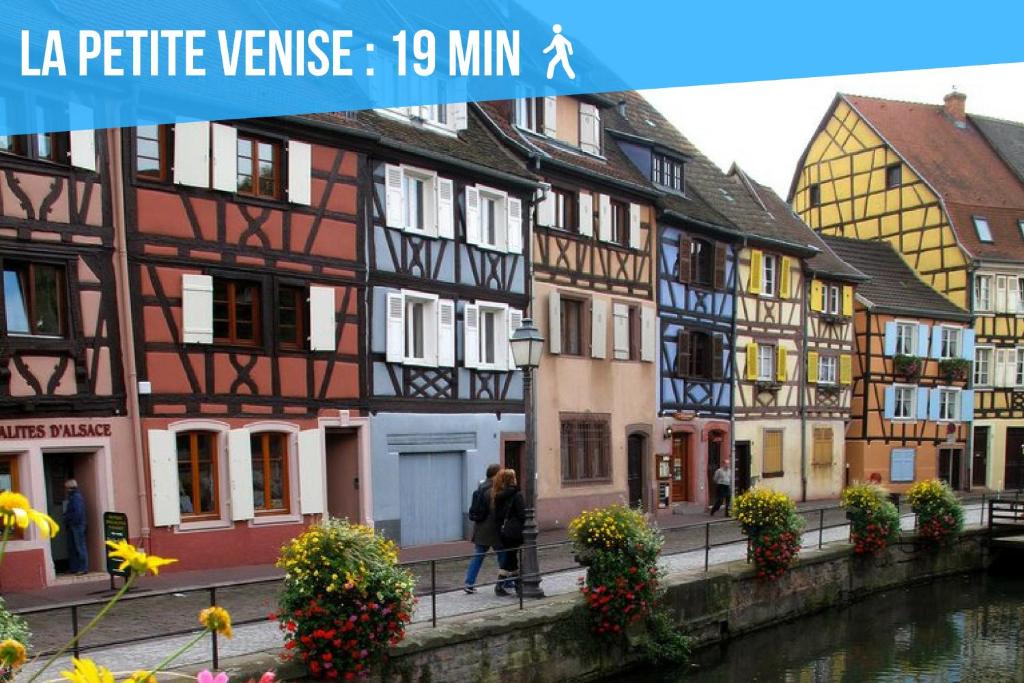 2 Charmants logements * CHARMANT GITE COLMAR * – photo 25