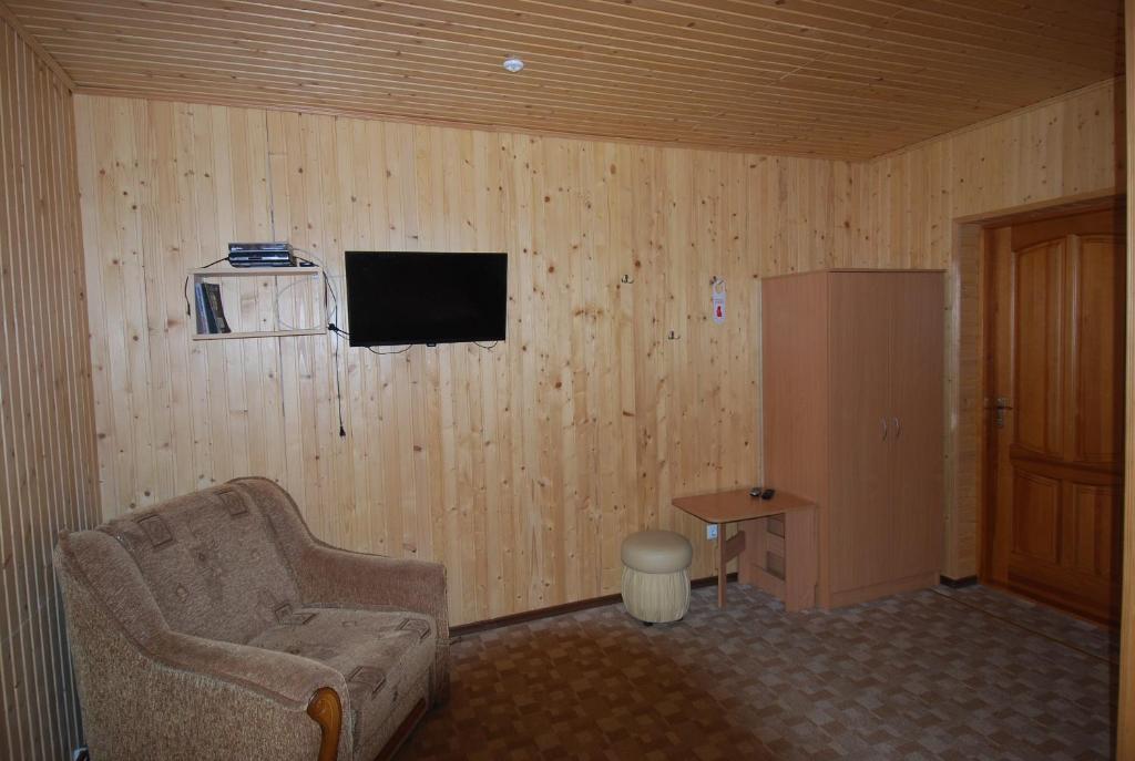 TV a/nebo společenská místnost v ubytování Zelena Dacha