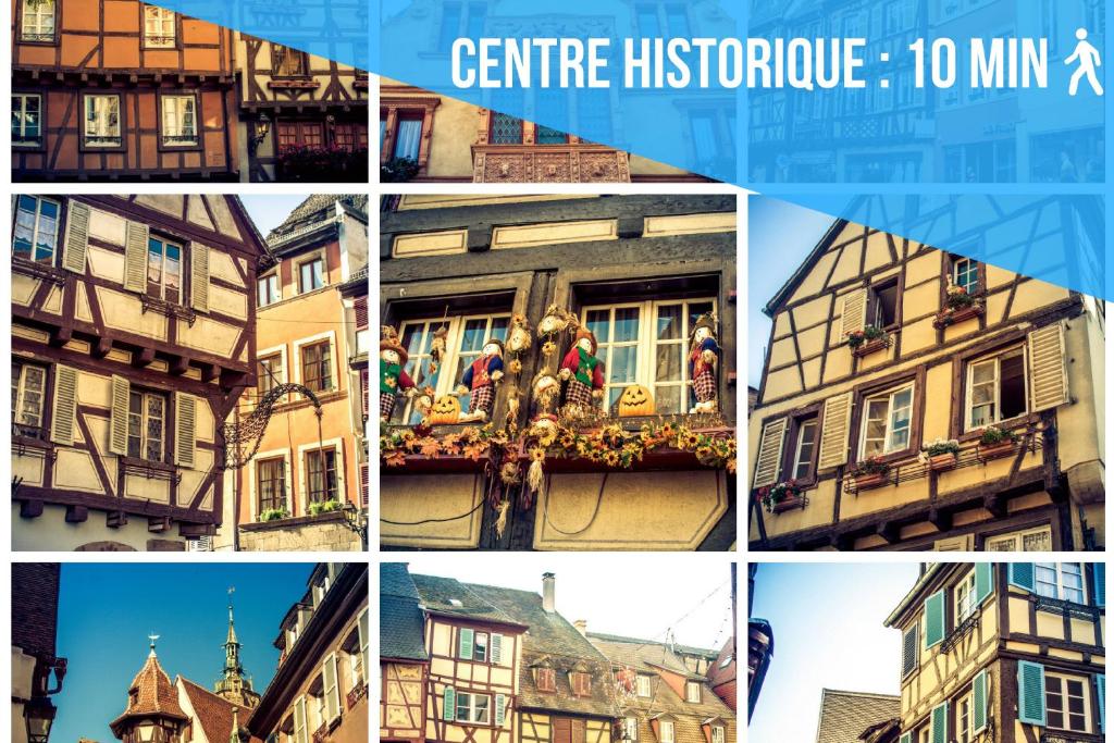 2 Charmants logements * CHARMANT GITE COLMAR * – photo 23
