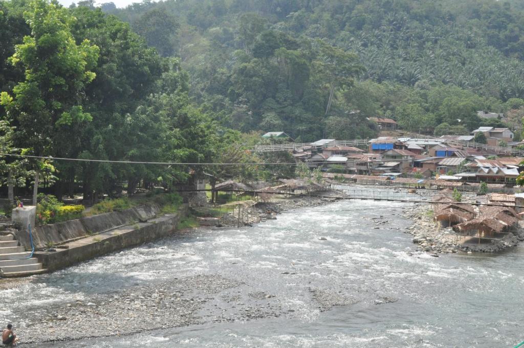 a river with at Fun Family Guest House n Jungle Tour in Bukit Lawang