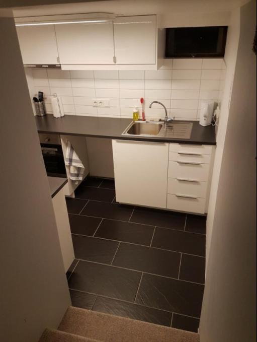 Kuchyň nebo kuchyňský kout v ubytování Ubak Guesthouse