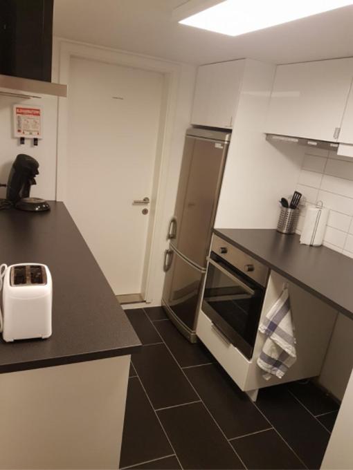Kuchyň nebo kuchyňský kout v ubytování Ubak Guesthouse