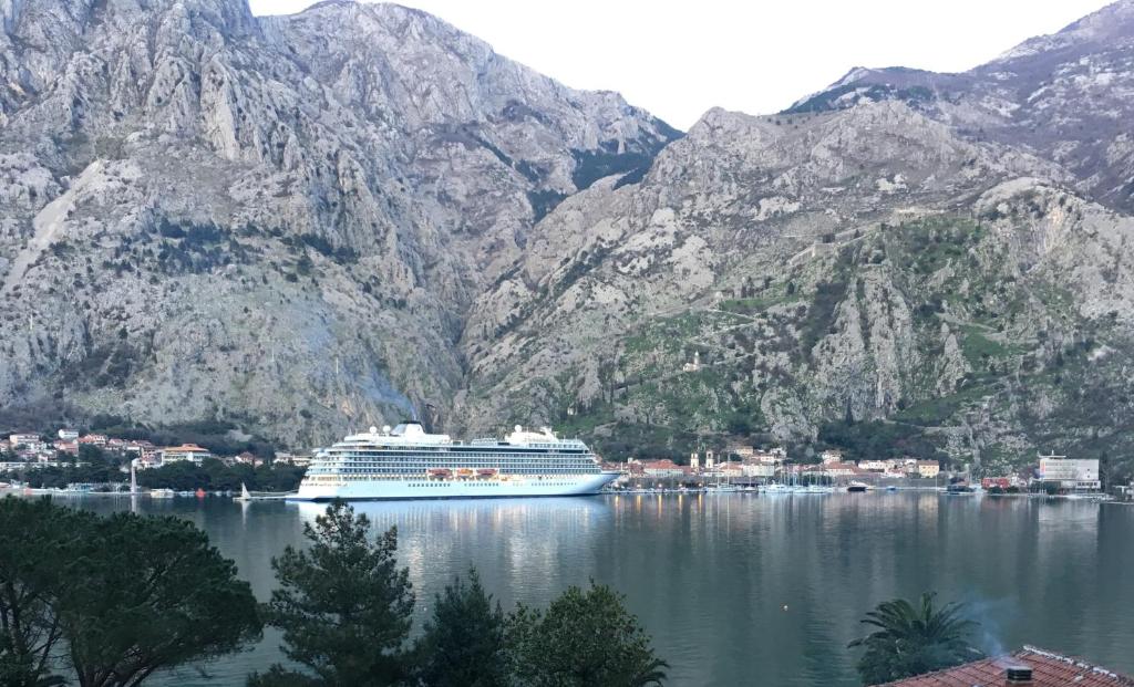 a cruise ship in a body of water with mountains at Apartments Darija in Kotor