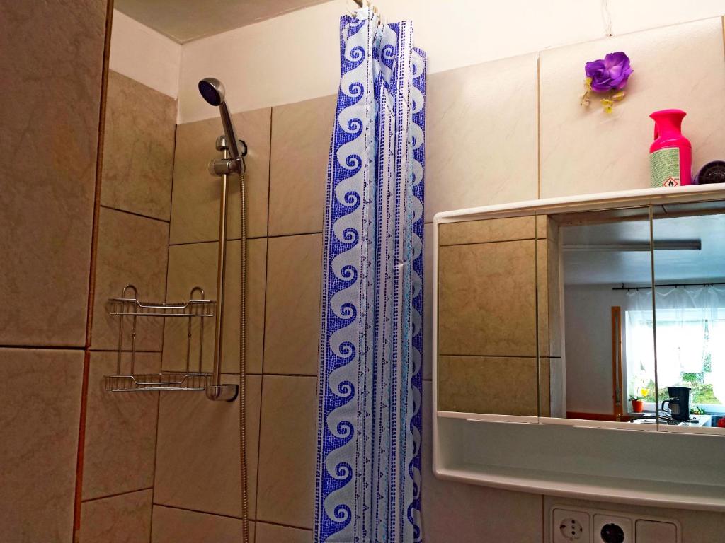 eine Dusche mit einem blauen und weißen Duschvorhang neben einem Spiegel in der Unterkunft Ferienwohnungen mit Weitblick in Bergneustadt