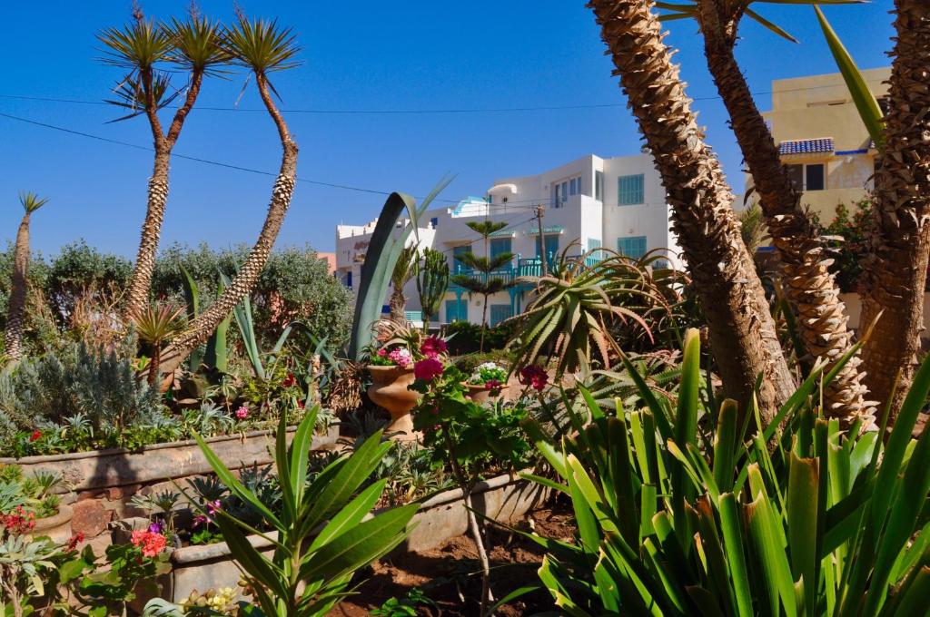 Un jardín fuera de Sallys