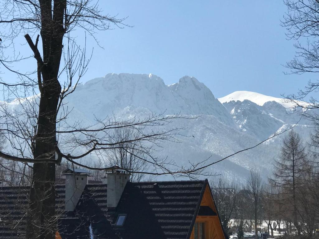 Výhľad na hory alebo výhľad na hory priamo z apartmánu