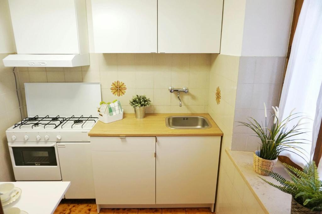 Kuchyňa alebo kuchynka v ubytovaní Casa Dante