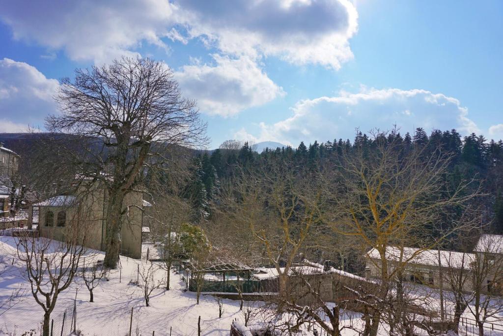 Príroda v okolí apartmánu