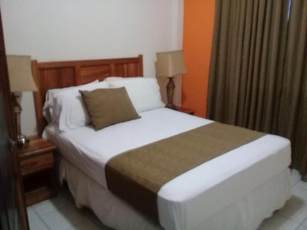ein Schlafzimmer mit einem großen Bett mit weißen Kissen in der Unterkunft Apartamentos del Puerto in Tela