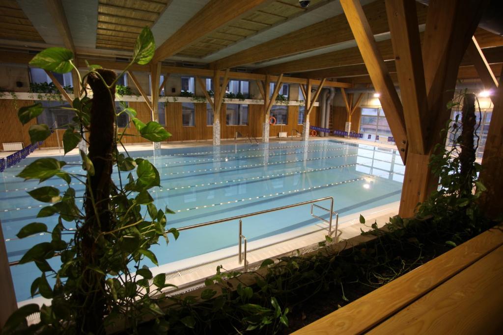 Bazén v ubytování Hollywood Hotel nebo v jeho okolí