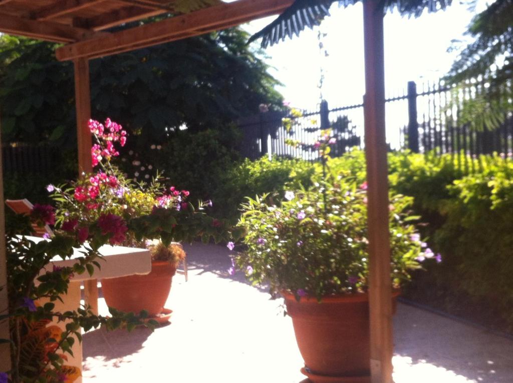 un jardín con macetas y pérgola de madera en Vivienda Las Velas, en Maspalomas