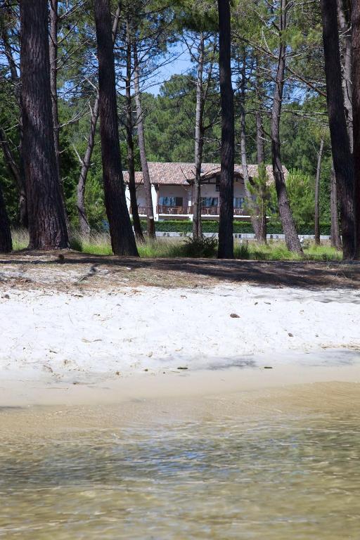 a beach with trees and a house in the background at Duplex T3 2 étoiles bord de lac 65mcarrés in Biscarrosse