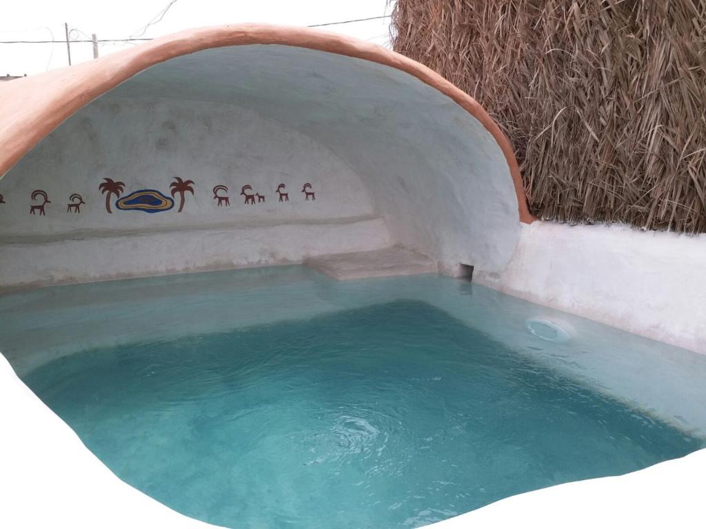 einen kleinen Pool mit Wasser in einer Badewanne in der Unterkunft Zimmerbus in ‘Ezuz