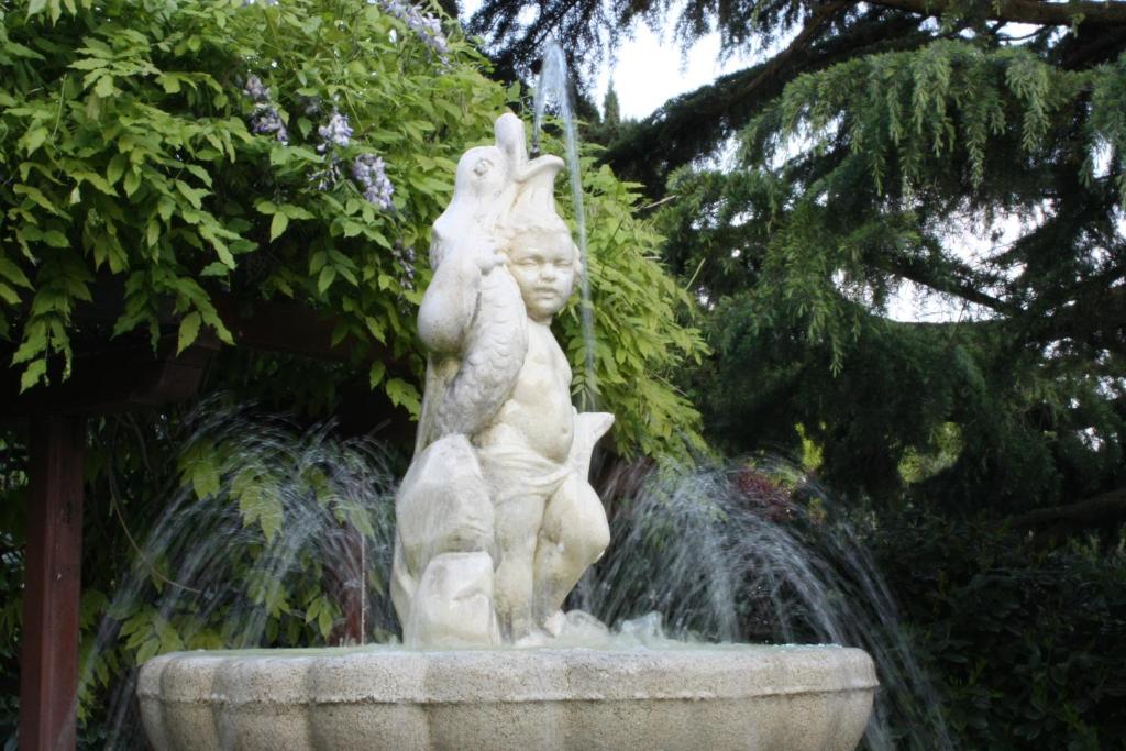 Zahrada ubytování Park Hotel