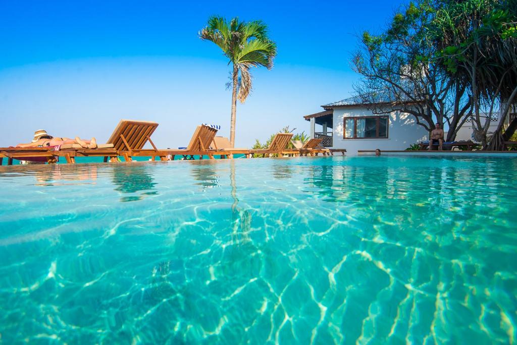 uma piscina com cadeiras e uma palmeira e uma casa em Warere Beach em Nungwi