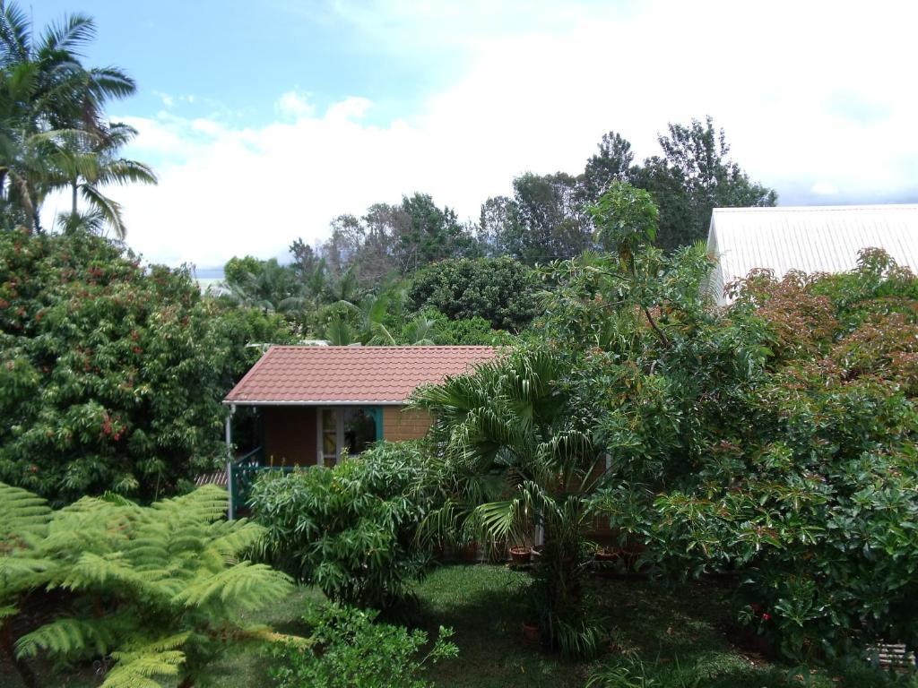 a small house in the middle of a forest at Les Agapanthes in Le Tampon