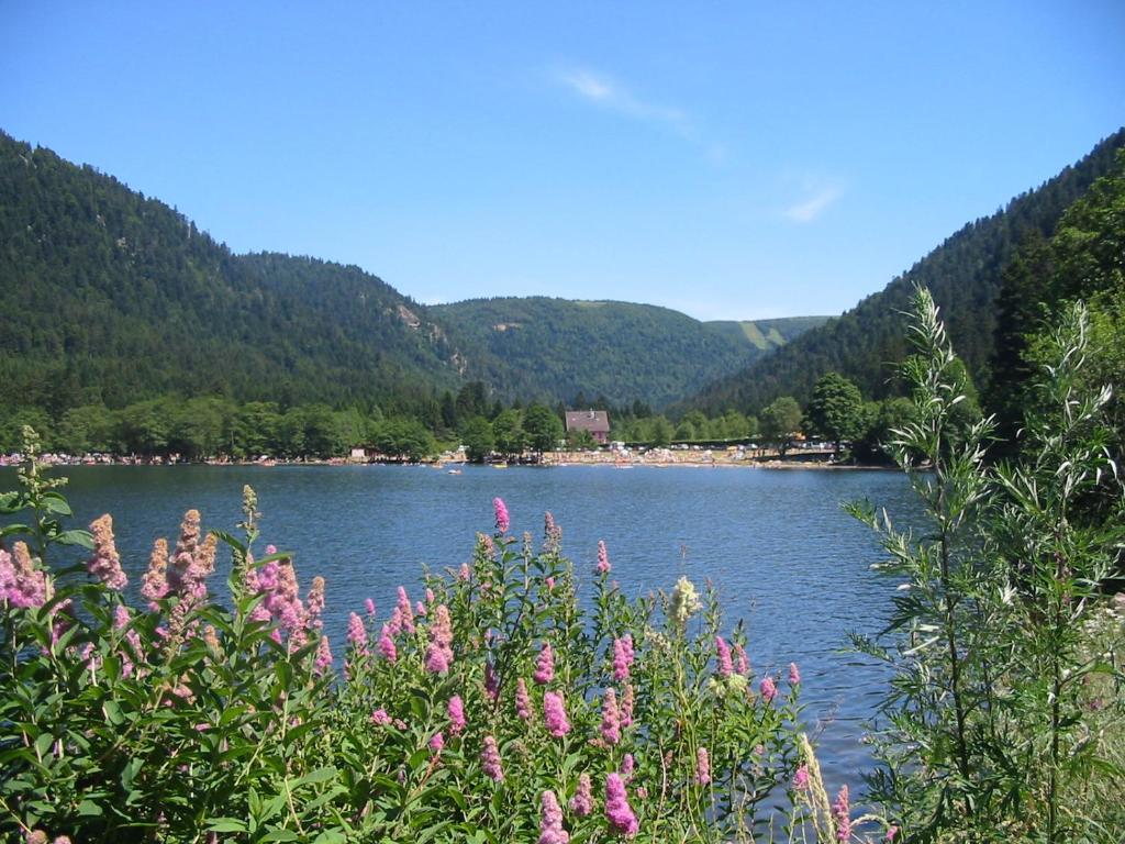 Příroda nedaleko apartmánu