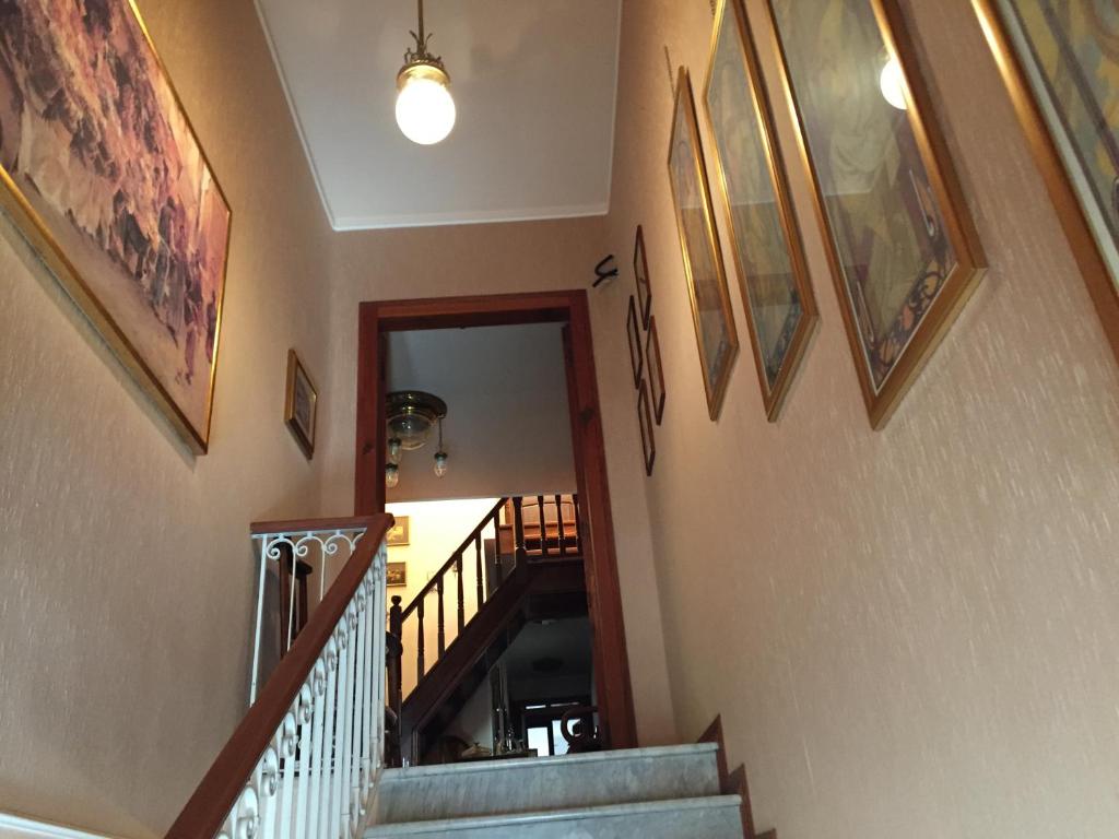 Domácí mazlíčci ubytovaní s hosty v ubytování Casa Tonina