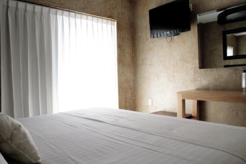 Postel nebo postele na pokoji v ubytování Hotel Rio Malecon
