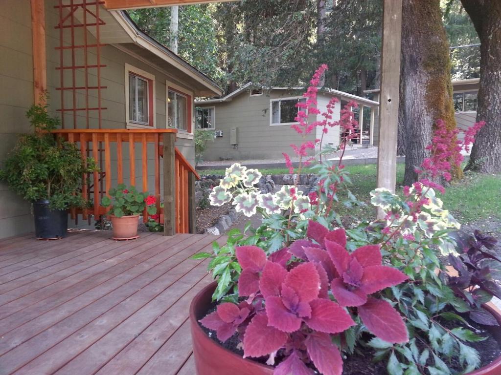 a deck with pots of flowers on a house at China Creek Cottages in Willow Creek