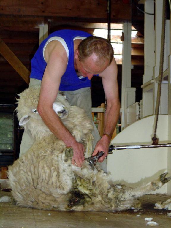 The Point B&B - Resim 14