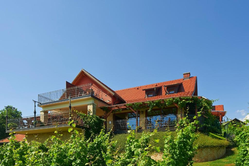 ein Haus mit Reben, die seitlich angebaut werden in der Unterkunft Tourism Tompa in Ljutomer