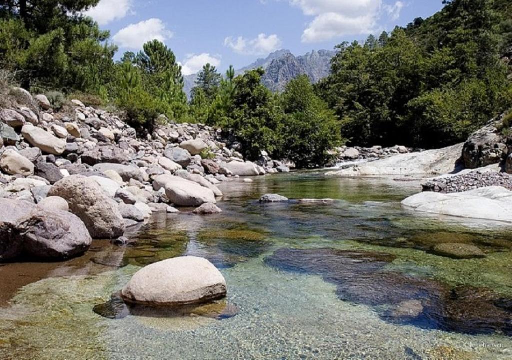 une rivière avec des rochers et des arbres sur une montagne dans l'établissement APPT CONCA-6pers-clim-au calme, à Conca
