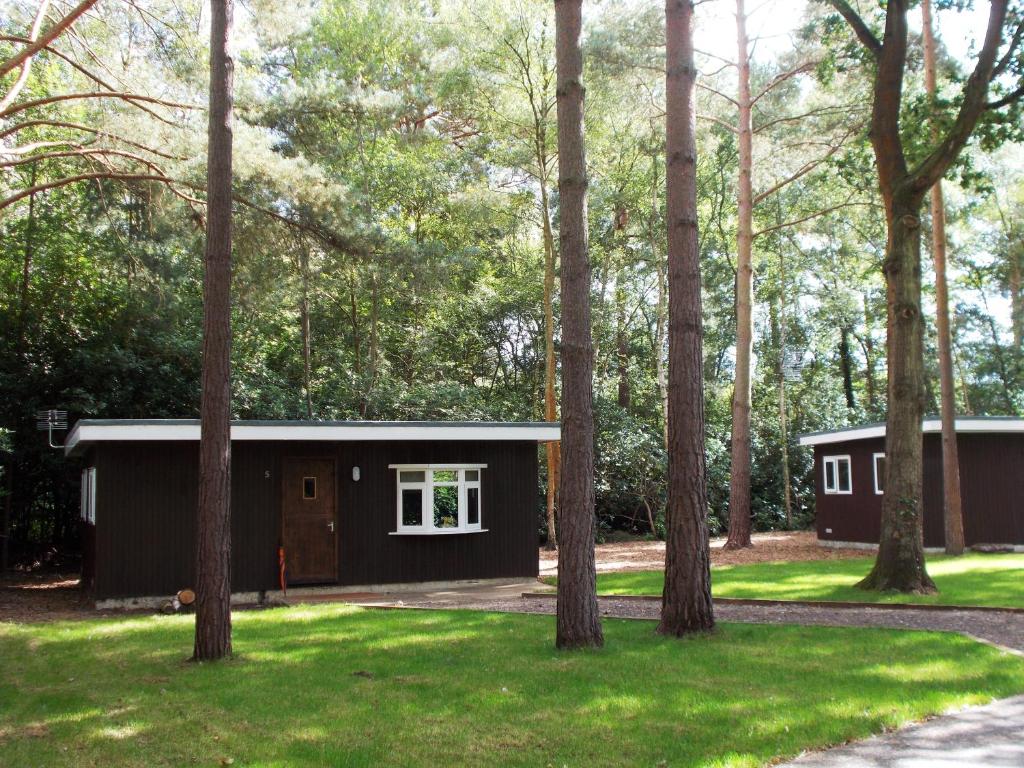 mały domek w lesie z drzewami w obiekcie California Chalet & Touring Park w mieście Wokingham
