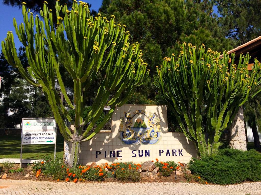 Pine Sun Park - Durcosa