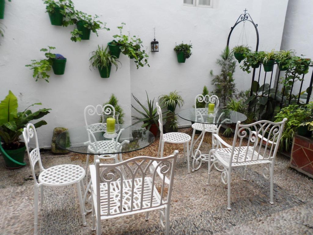 eine Terrasse mit einem Tisch, Stühlen und Pflanzen in der Unterkunft Hospedería Luis de Góngora in Córdoba