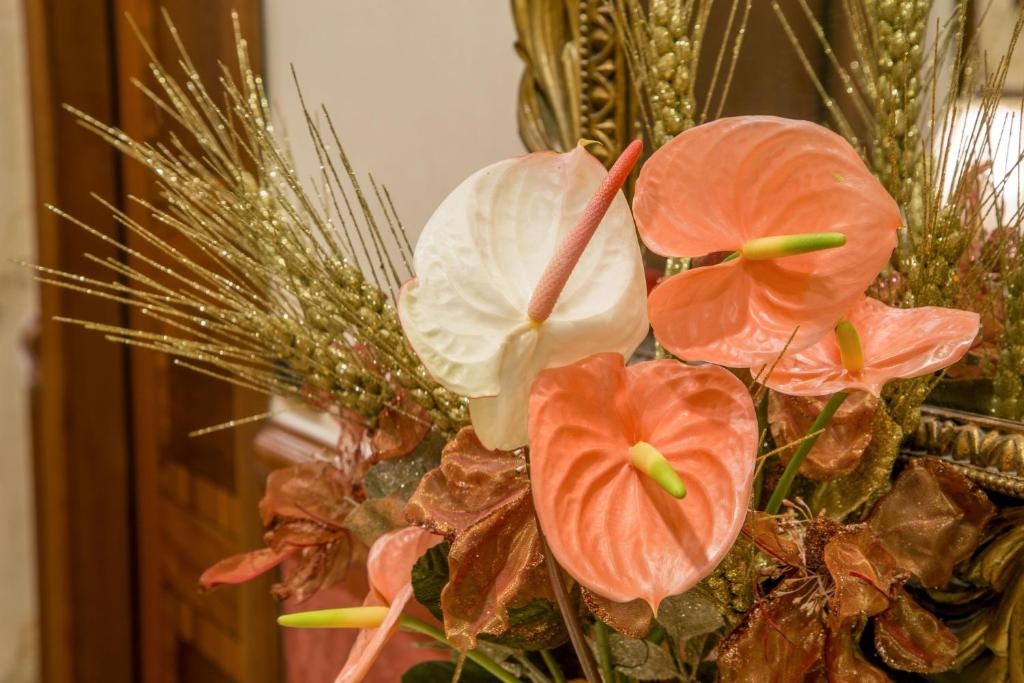 Hotel Forte - Resim 37