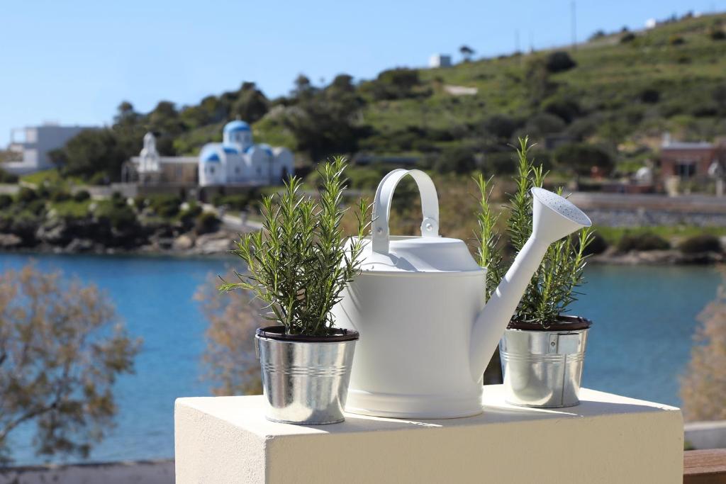 Gallery image of Syra Bay in Megas Yialos-Nites
