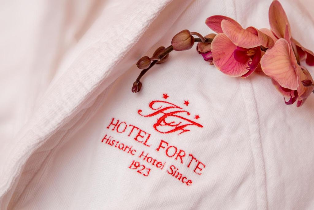 Hotel Forte - Resim 26